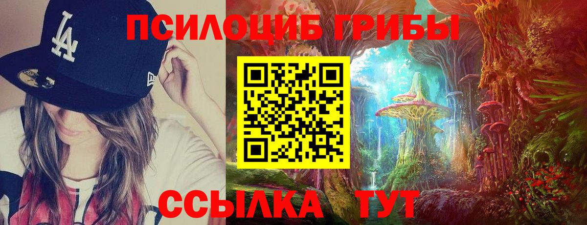 Галлюциногенные грибы Cubensis Тверь