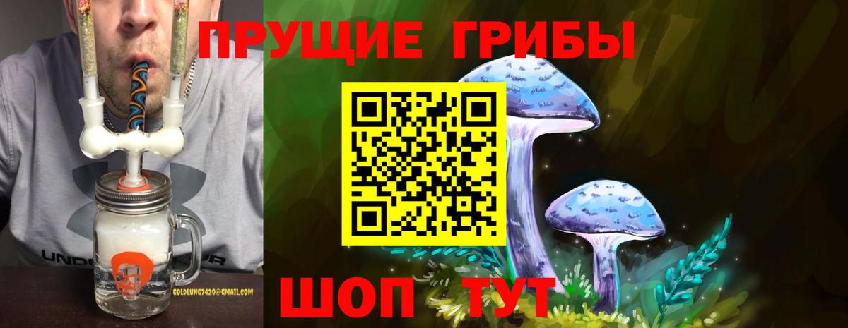 Псилоцибиновые грибы Magic Shrooms  Вход с VPN  Тверь  Псилоцибиновые грибы GOLDEN TEACHER 